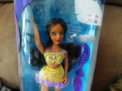 taylor yellow purple view